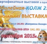 Фото Керчи