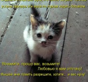 Фото Керчи