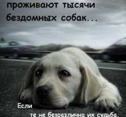 Фото Керчи