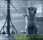 Фото Керчи